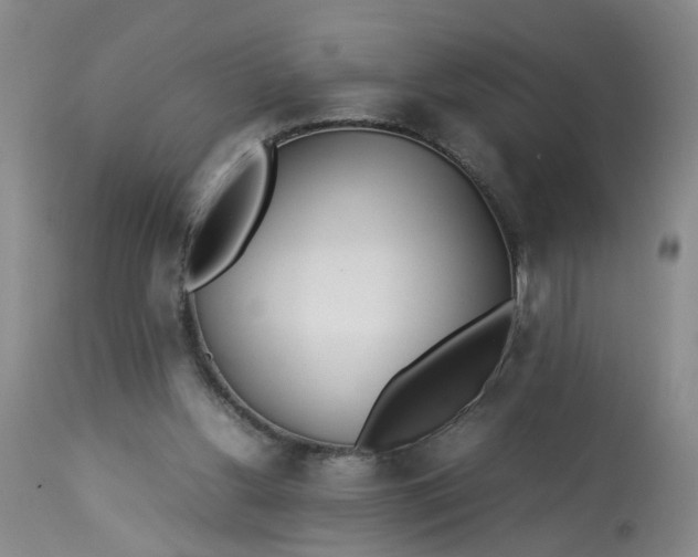 X0000113210156200910011329