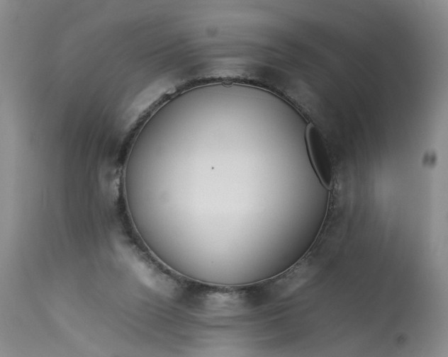 X0000113210160200910011329