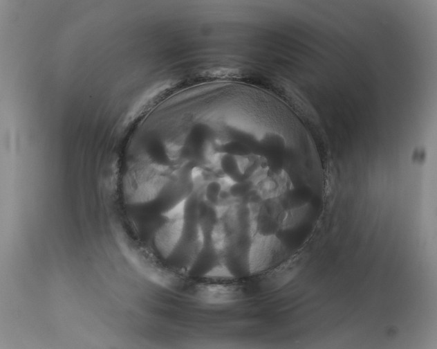 X0000113210163200910011329