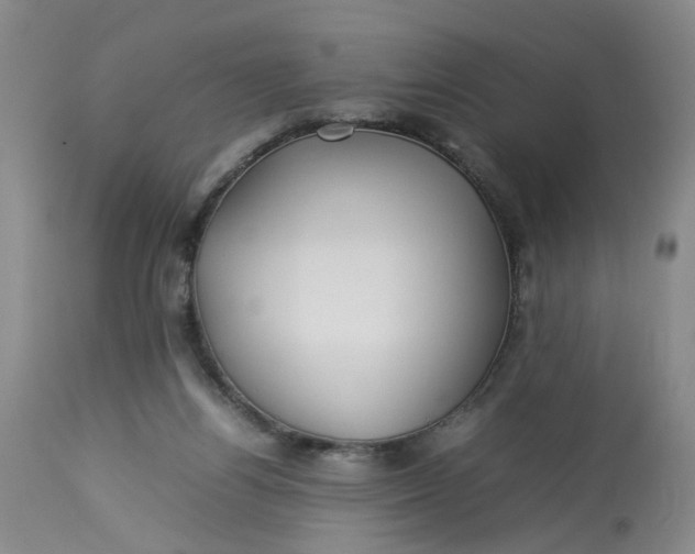 X0000113210164200910011329