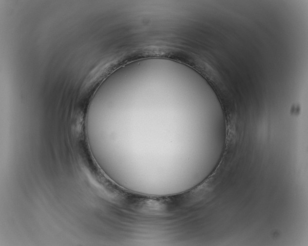 X0000113210166200910011329