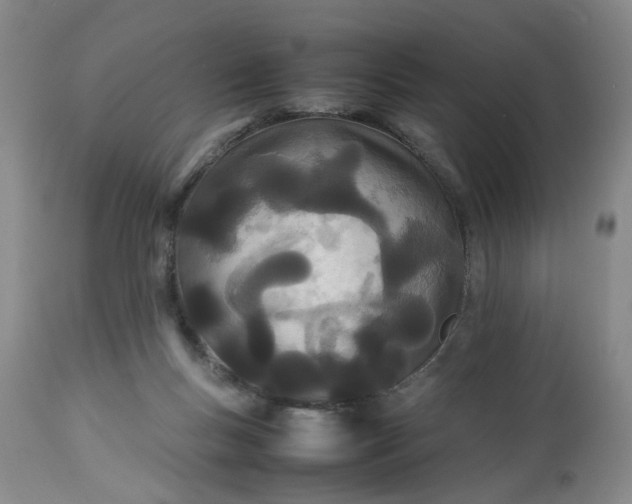 X0000113210167200910011329