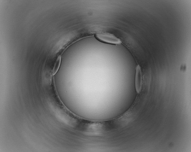 X0000113210168200910011329