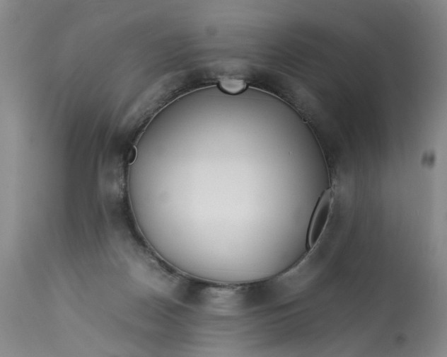 X0000113210170200910011329