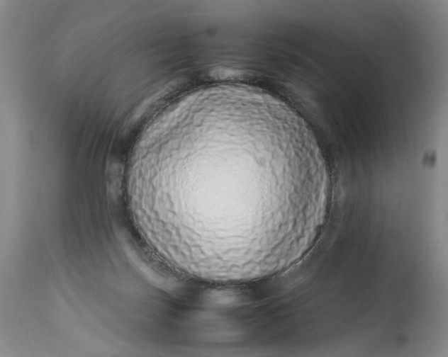 X0000113210171200910011329