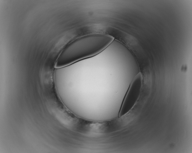 X0000113210172200910011329