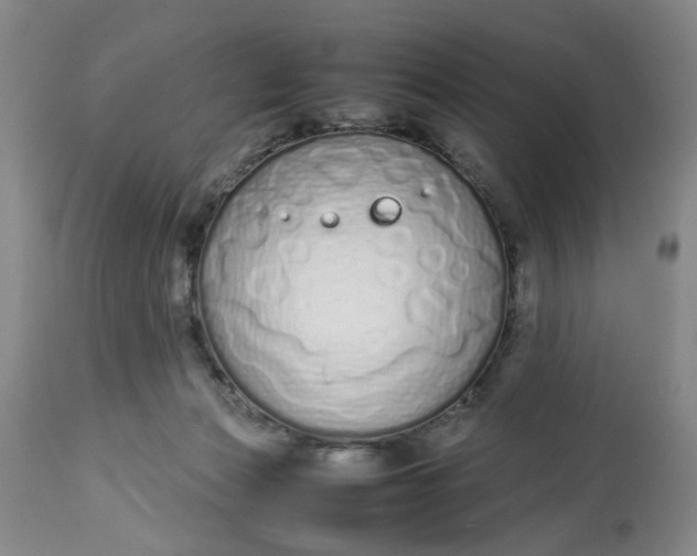 X0000113210173200910011329