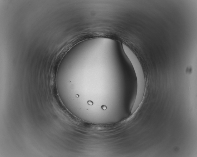 X0000113210174200910011329