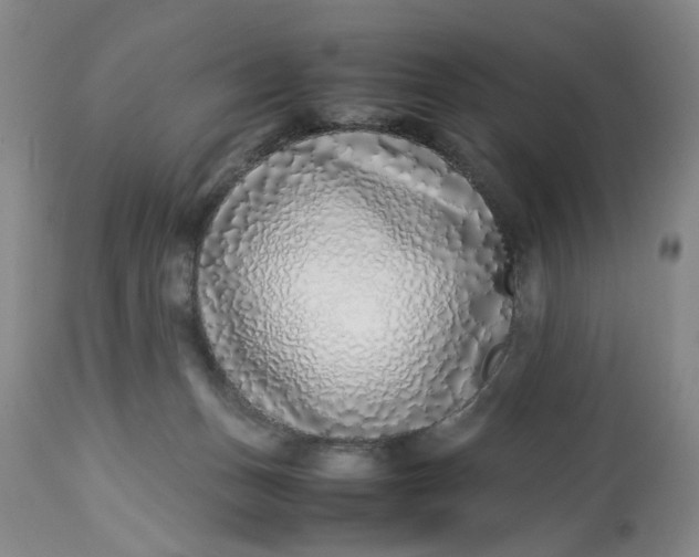 X0000113210175200910011329