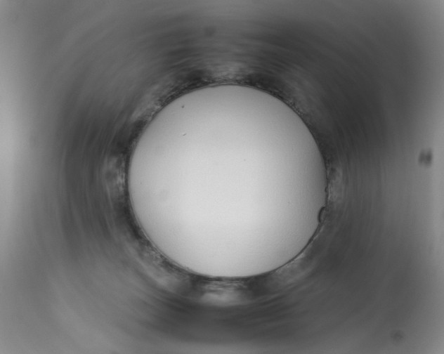 X0000113210179200910011329