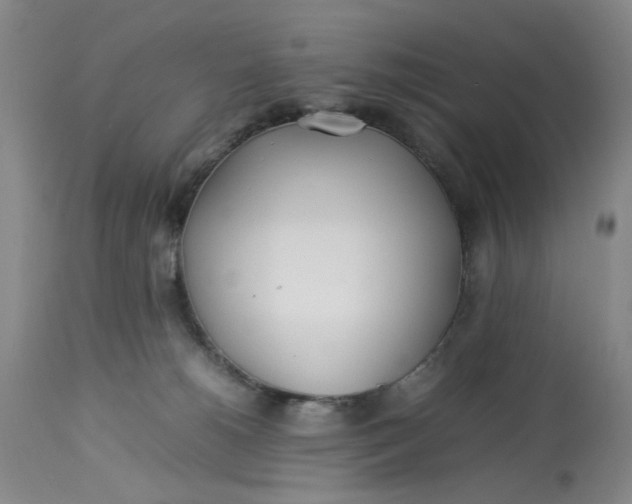 X0000113210180200910011329