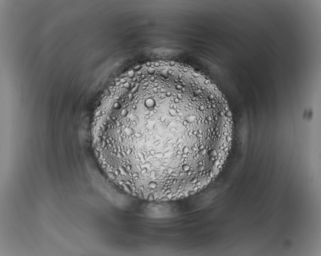 X0000113210181200910011329