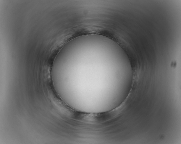 X0000113210182200910011329