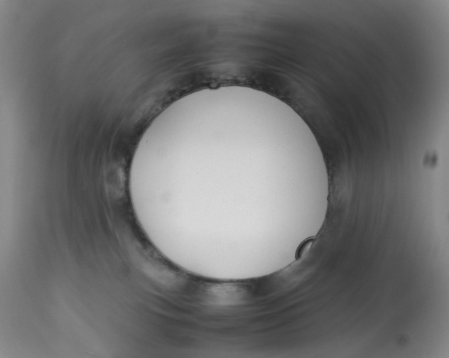 X0000113210183200910011329