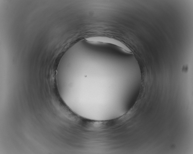 X0000113210184200910011329