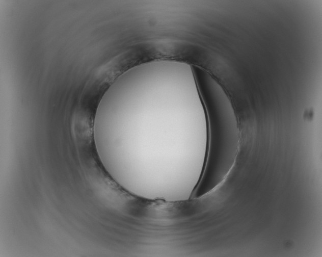 X0000113210186200910011329