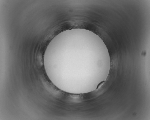 X0000113210187200910011329