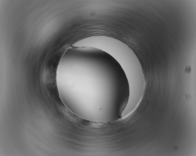 X0000113210190200910011329