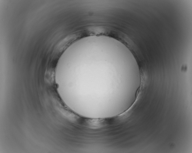 X0000113210191200910011329