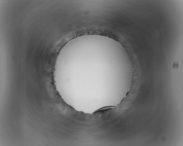 X0000113210192200910011329