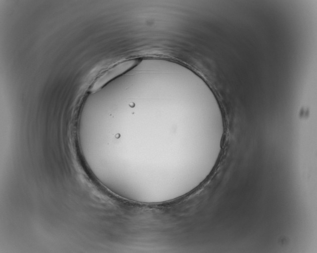 X0000113210193200910011328