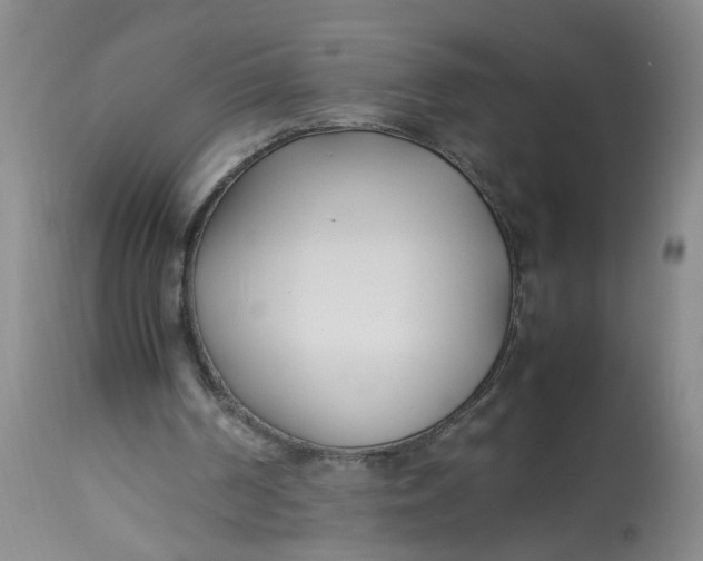 X0000113210194200910011328