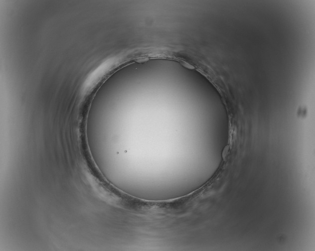 X0000113210197200910011328