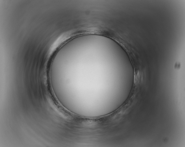 X0000113210198200910011328