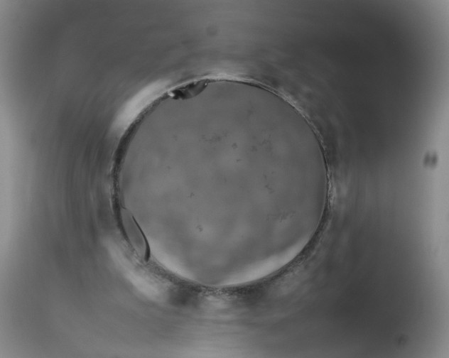 X0000113210199200910011328