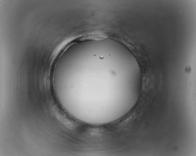 X0000113210200200910011328