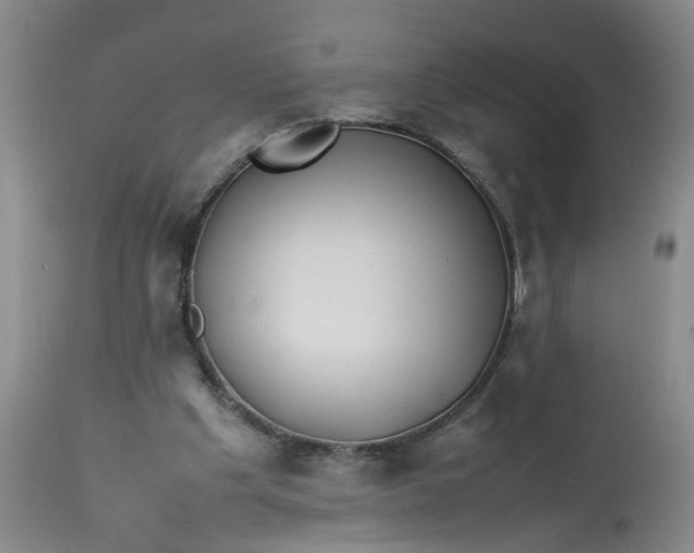 X0000113210201200910011328