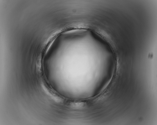 X0000113210202200910011328