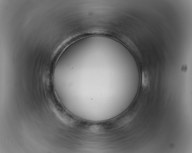 X0000113210204200910011328