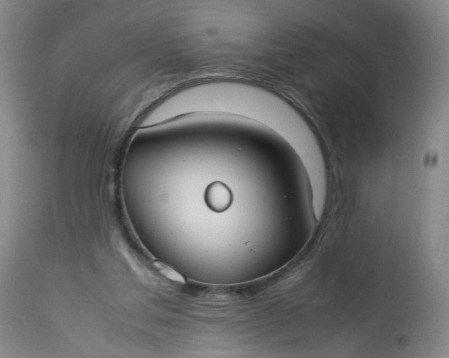 X0000113210205200910011328