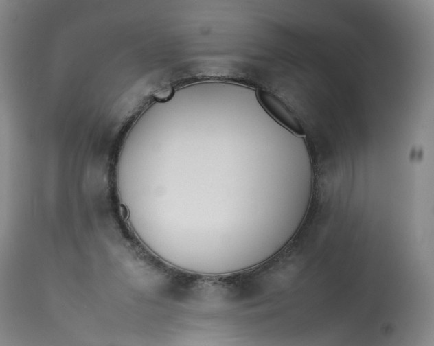 X0000113210207200910011328