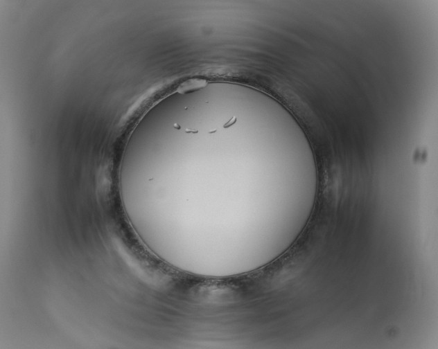 X0000113210208200910011328