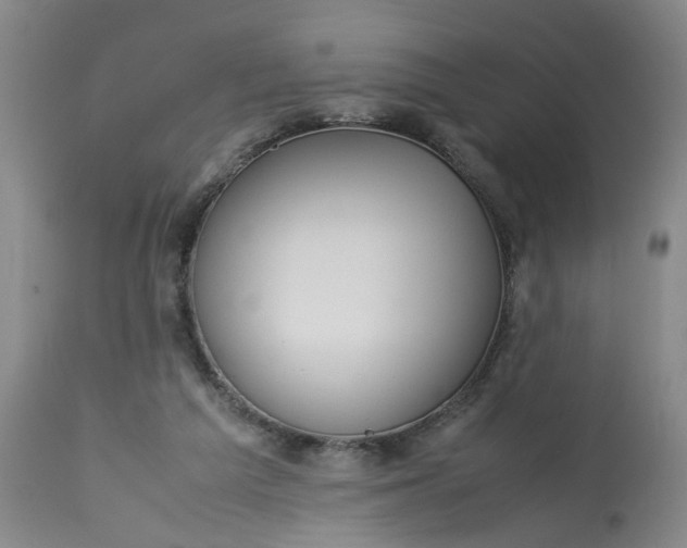 X0000113210209200910011328