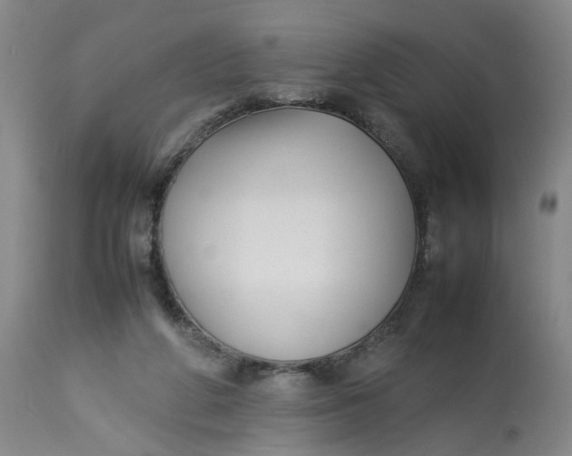 X0000113210210200910011328