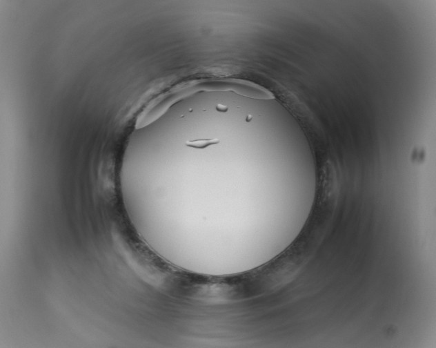 X0000113210212200910011328