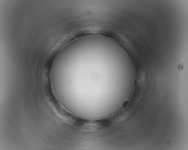 X0000113210213200910011328