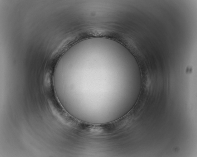 X0000113210214200910011328