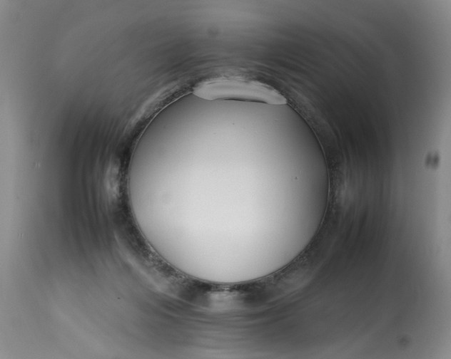 X0000113210216200910011328