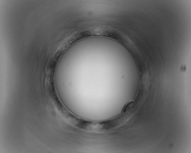 X0000113210217200910011328