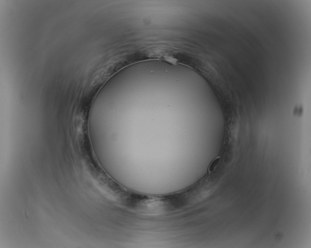 X0000113210219200910011328