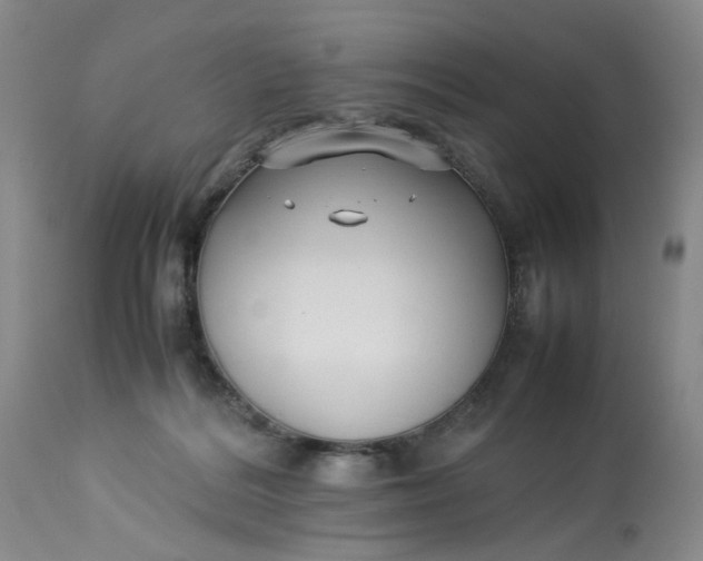 X0000113210220200910011328