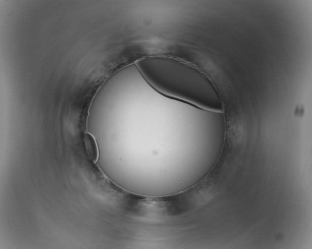 X0000113210221200910011328