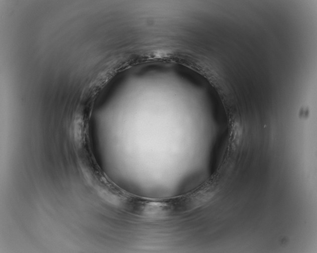 X0000113210222200910011328