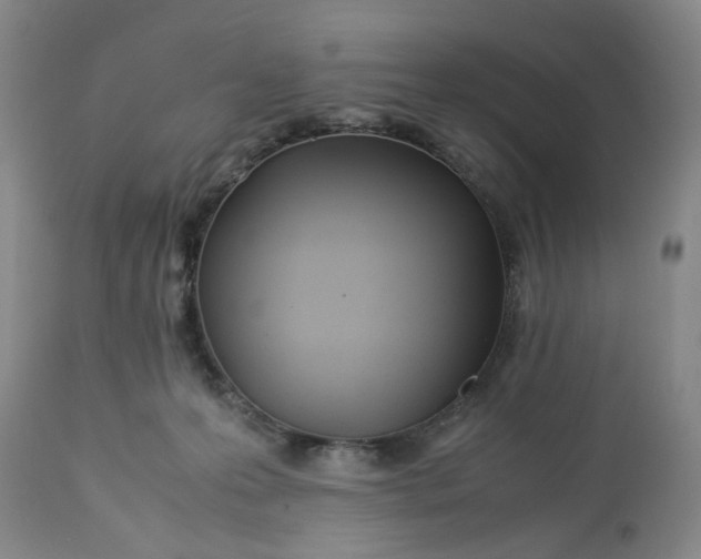 X0000113210223200910011328