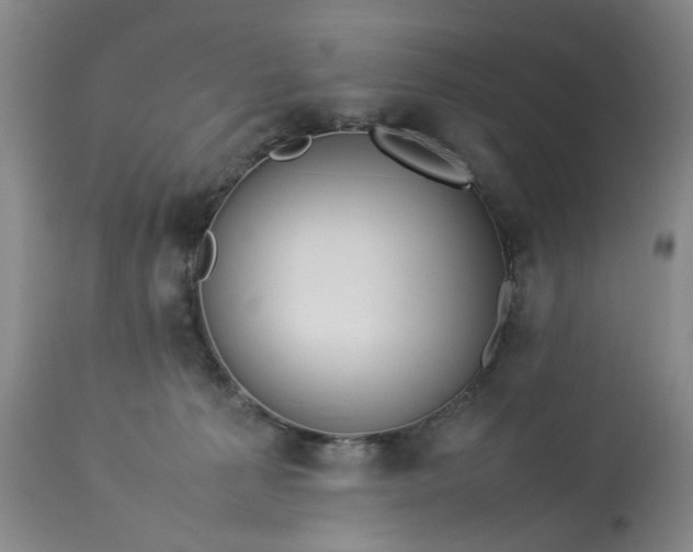 X0000113210225200910011328