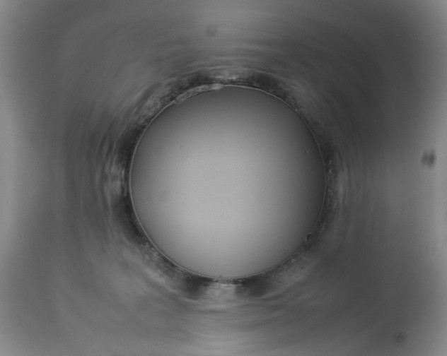 X0000113210227200910011328